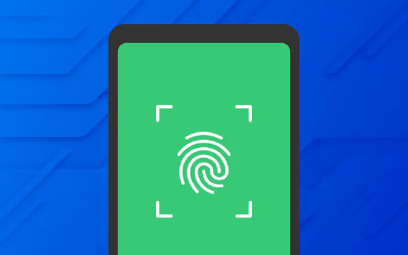 Zero-Knowledge Architecture: Technical Foundation