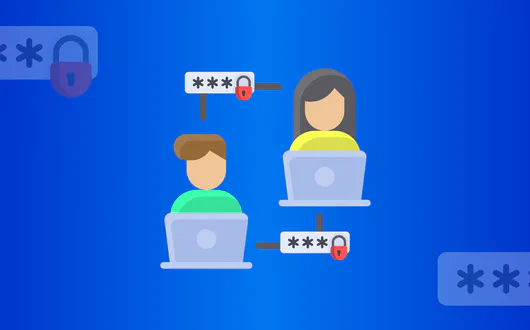 Netflix vs Account Sharing Security