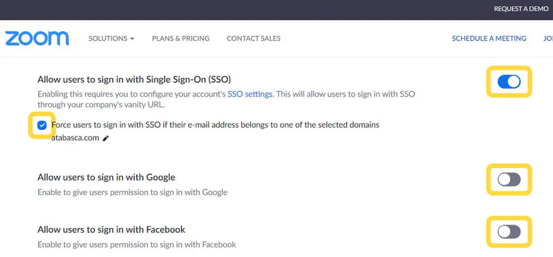 Zoom Security Issues: phishing