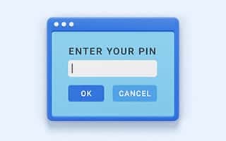 PIN input