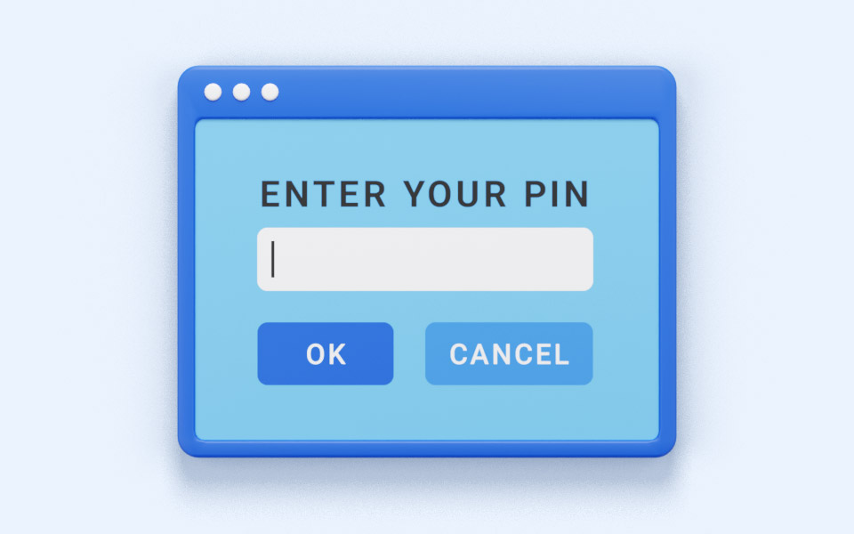 PIN input